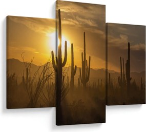 Tablou - Cactuși Saguaro (90x60 cm)