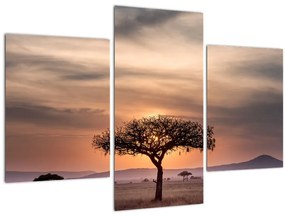Tablou apusului de soare în Tanzania (90x60 cm)