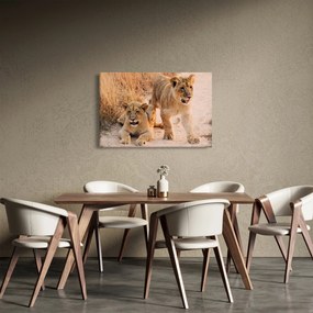 Tablou - Pui de leu (90x60 cm)