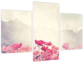 Tablou - Maci (90x60 cm)