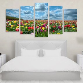 Tablou Multicanvas 5 Tulips Field - 200x100 cm 200x100 cm