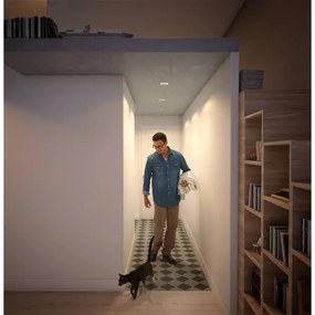 Philips  50393/11/P0 - SET 3xLED Lampă dimmabilă SHELLBARK LED/4,5W/230V