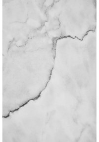 Tocător din marmură de tăiat 21x31 cm Marmore – Premier Housewares