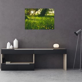 Tablou pe sticlă cu natura - lunca (70x50 cm)