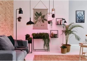 Bec LED pentru creșterea plantelor GROW GREEN R50 E14/4W/230V Paulmann 28734