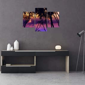 Tablou - Copaci la apus de soare (90x60 cm)