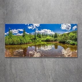 Tablou acrilic Lacul în pădure