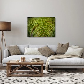 Tablou pe sticlă - Fern (70x50 cm)