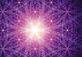 Fototepet - Energia violet (147x102 cm)