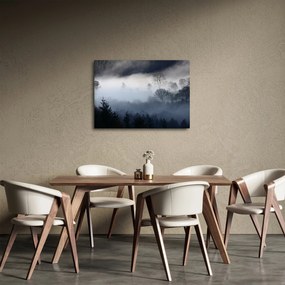 Tablou cu ceță deasupra pădurii (70x50 cm)