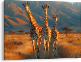 Tablou - Girafe pe pășune (70x50 cm)