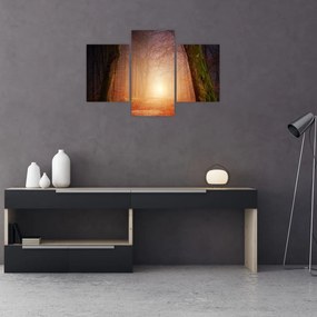 Tablou cu pădurea toamna în ceață (90x60 cm)