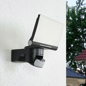 Steinel 065447 - Proiector LED cu senzor XLED HOME LED/13,5W/230V IP44 negru