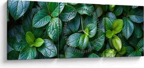 Tablou - Plante verzi (cu ceas) (90x30 cm)