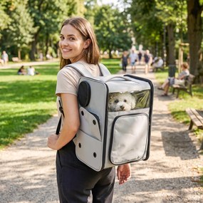 PawHut Transportor pentru Câini Și Pisici cu Roți, Mâner Telescopic, 2 Ferestre din Plasă, până la 5 kg, Gri | Aosom Romania