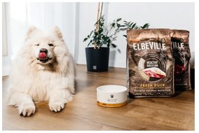 Bol pentru animale pentru câini din ceramică ø 16 cm Dog Fantasy WOOF – Plaček Pet Products