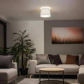 Brilagi - Plafonieră aplicată LED CERIA 1xE27/40W/230V Ø 30 cm albă