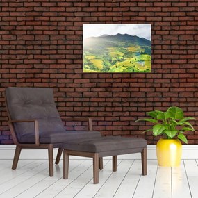 Tablou plantație (70x50 cm)