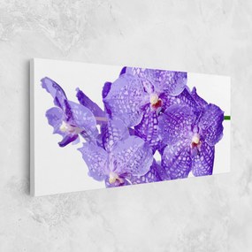 Tablou Canvas, 40x80cm, Dormitor si Living, Flori, Orhidee, Purple White Orchid
