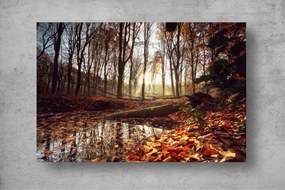 Tapet Premium Canvas - Lacul inconjurat de frunze si copaci