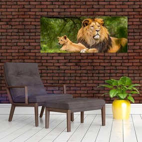 Tablou cu lei (120x50 cm)