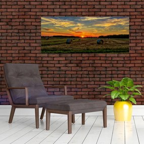 Tablou - Baloți din sat (120x50 cm)