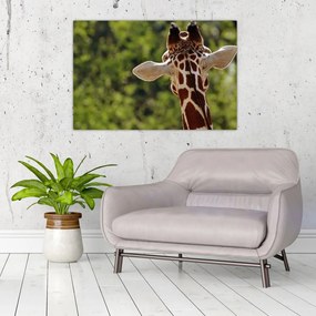 Tablou cu girafă din spate (90x60 cm)