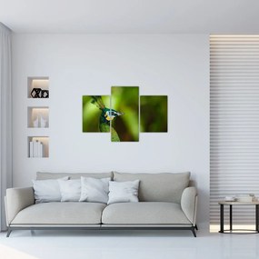 Tablou cu păun (90x60 cm)
