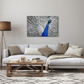 Tablou - păun albastru (90x60 cm)