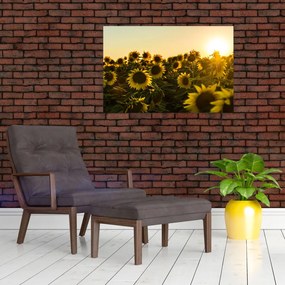 Tablou cu lan de floarea soarelui (90x60 cm)