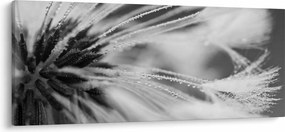 Tablou - Macro,alb-negru (120x50 cm)