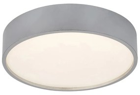 Plafoniera LED design modern Larcia IP44 argintiu, alb