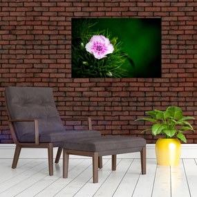 Tablou cu floare roz (90x60 cm)
