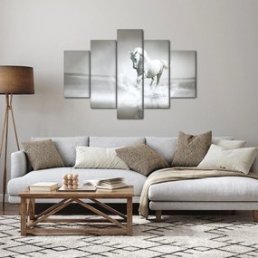 Tablou - Cal alb (150x105 cm)