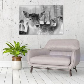 Tablou - Cerbi,alb-negru (90x60 cm)