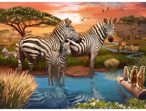 PUZZLE ZEBRE LA APA, 500 PIESE - RAVENSBURGER (RVSPA17376)
