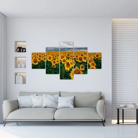 Tablou câmpului de floarea soarelui (125x70 cm), în 40 de alte dimensiuni noi