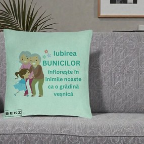 Cadou pentru Bunici - Perna Personalizata Bunicii Iubirea Infloreste cu Nepoata Teal, 40x40 cm, Verde Menta, Husa Detasabila, Perna Inclusa, BEKZ®
