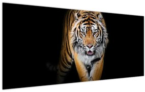 Tablou - Tiger (120x50 cm)