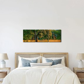 Tablou cu girafe în natură (cu ceas) (90x30 cm)