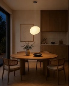 BRILAGI - Lampă suspendată pe cablu PEBBLES 1xE27/40W/230V Ø 30 cm neagră