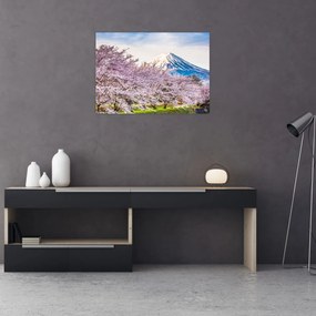 Tablou pe sticlă - Japonia în primăvară (70x50 cm)