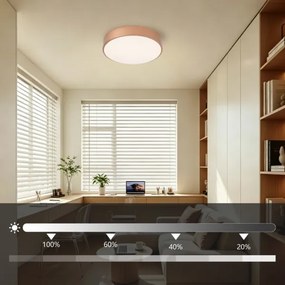 Brilagi - Lampă LED dimabilă de tavan POOL LED/36W/230V Ø 30 cm finisaj bronz + telecomandă