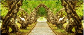 Tablou - Tunel viu din plumeria (120x50 cm)