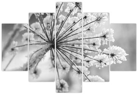 Tablou - Floare în timpul iernii (150x105 cm)