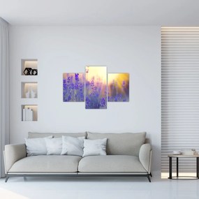 Tablou - Levănțică (90x60 cm)