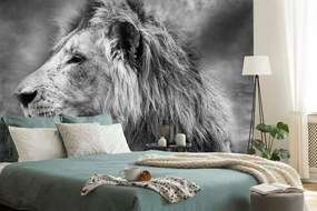 Tapet autoadeziv leul african în design alb-negru