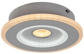 Rabalux 6959 - Plafonieră LED TANELI LED/20W/230V 3000/4000/6000K