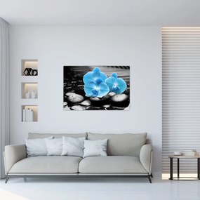 Tablou - Orhidee albastră (90x60 cm)