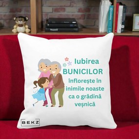 Cadou pentru Bunici - Perna Personalizata Bunicii Iubirea Infloreste cu Nepoata Teal, 40x40 cm, Alba Mata, Husa Detasabila, Perna Inclusa, BEKZ®